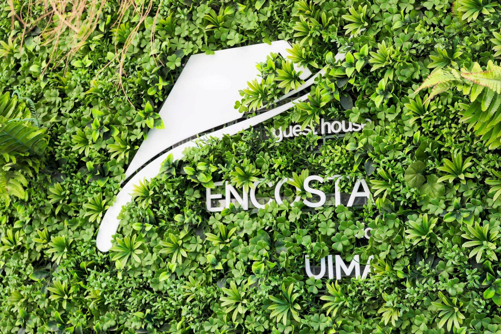 Encosta Do Uima - Guest House Caldas de Sao Jorge ภายนอก รูปภาพ
